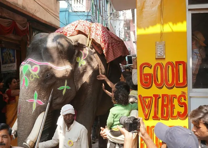 Good Vibes Hostel Varanasi